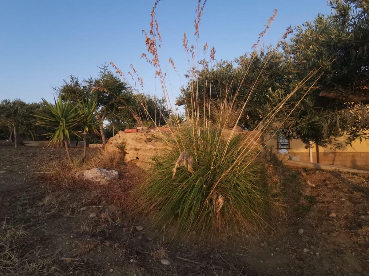 Villa Sole Terra e Mare casa Chiara Montallegro Esterno foto